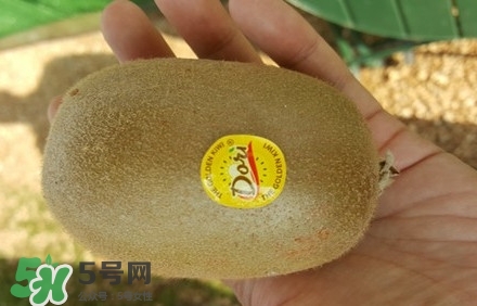 黃心獼猴桃叫什么名字？黃心獼猴桃是什么品種