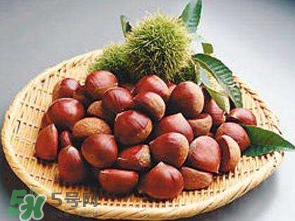 板栗酒能治療腎陽虛嗎？板栗泡酒真的能壯陽嗎？