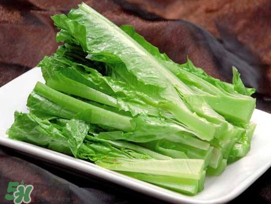 萵苣葉能吃嗎？萵苣葉和油麥菜有什么區(qū)別