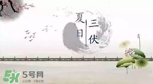 三伏天練什么？三伏天具體怎么養(yǎng)生？