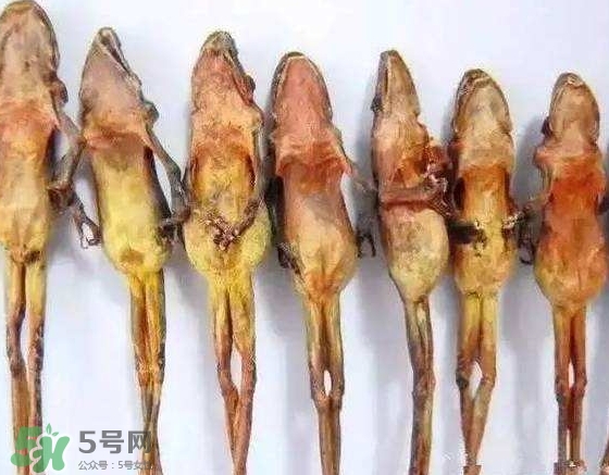 雪蛤干多少錢一斤？雪蛤干怎么吃？
