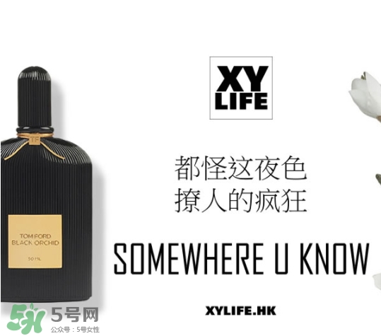 tom ford午夜蘭花香水多少錢？午夜蘭花香水專柜價(jià)格