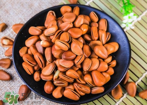 松籽什么季節(jié)采摘？吃松籽有什么好處？