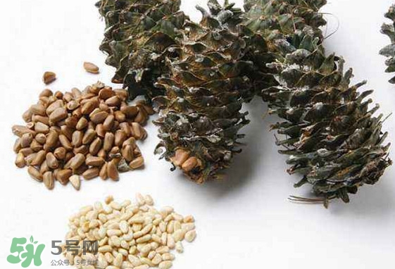松子是松樹的果實嗎？松子是酸性還是堿性