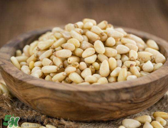 松籽是什么樹結(jié)的？松子還是松籽？