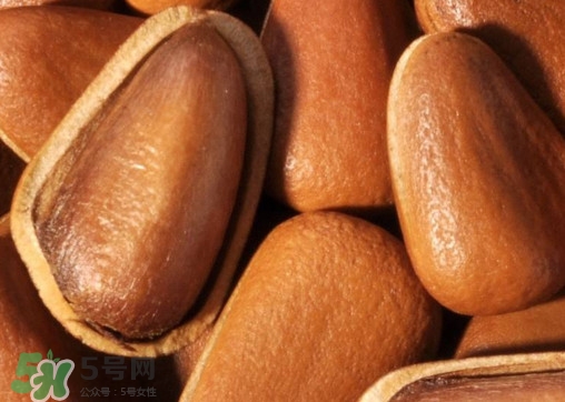 松籽什么季節(jié)采摘？吃松籽有什么好處？