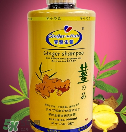 琴葉洗發(fā)水是哪國的？琴葉洗發(fā)水是幾線品牌