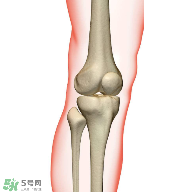 風(fēng)濕不治療可以治愈嗎？早期風(fēng)濕能自愈嗎？