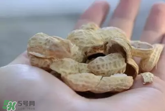 花生發(fā)芽后營養(yǎng)如何？花生殼煮水喝有什么用？