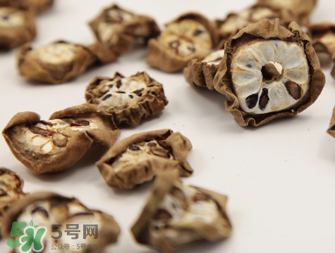 預知子是什么？預知子中藥能治什么病