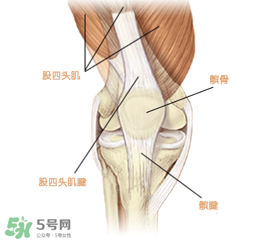 風(fēng)濕可以吃螃蟹嗎？得了風(fēng)濕能吃螃蟹嗎？