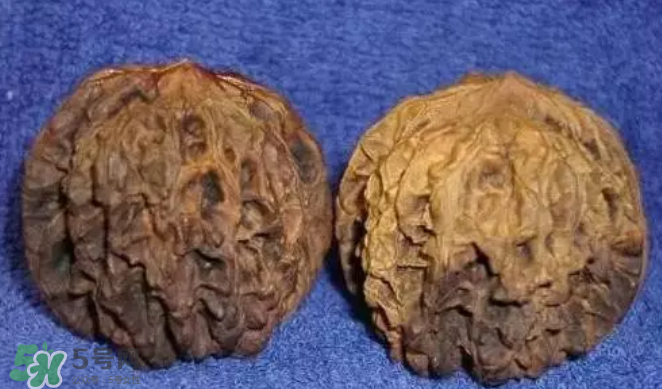 核桃上的陰皮是什么？核桃對血管的作用