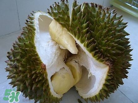 榴蓮和雞蛋能一起吃嗎？榴蓮和什么不能一起吃？