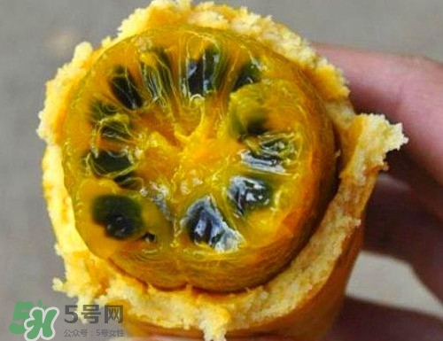 八月炸適合哪里種植？八月炸作用和功效是什么