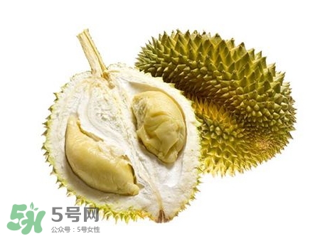 榴蓮籽能種嗎？榴蓮籽怎么種小盆栽？