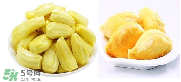 榴蓮和菠蘿蜜一樣嗎？榴蓮和菠蘿蜜哪個(gè)營養(yǎng)好？