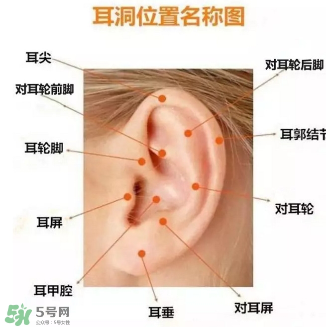 打耳洞多少錢(qián)一對(duì)？打耳洞相當(dāng)于什么疼