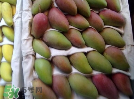 芒果有哪些品種？哪種芒果最好吃？