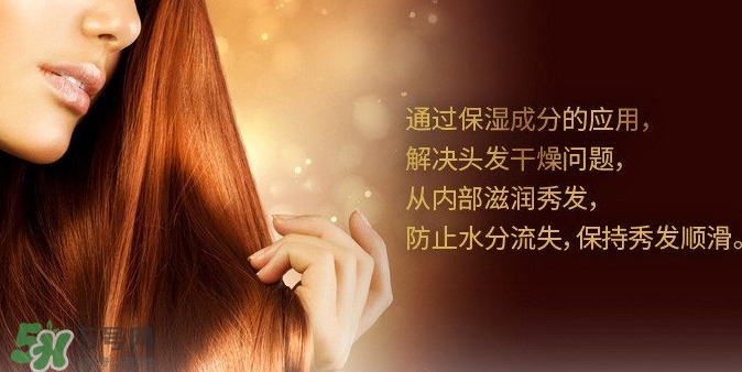 indefinie是什么牌子？indefinie洗發(fā)水怎么樣？