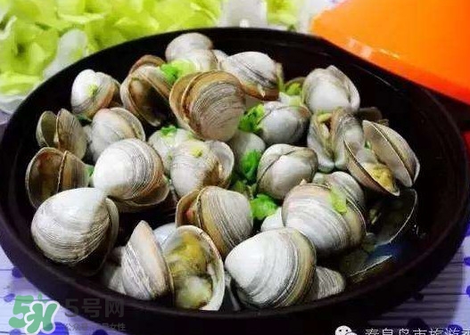 蛤蜊蒸蛋孕婦能吃嗎？蛤蜊蒸蛋寶寶能吃嗎