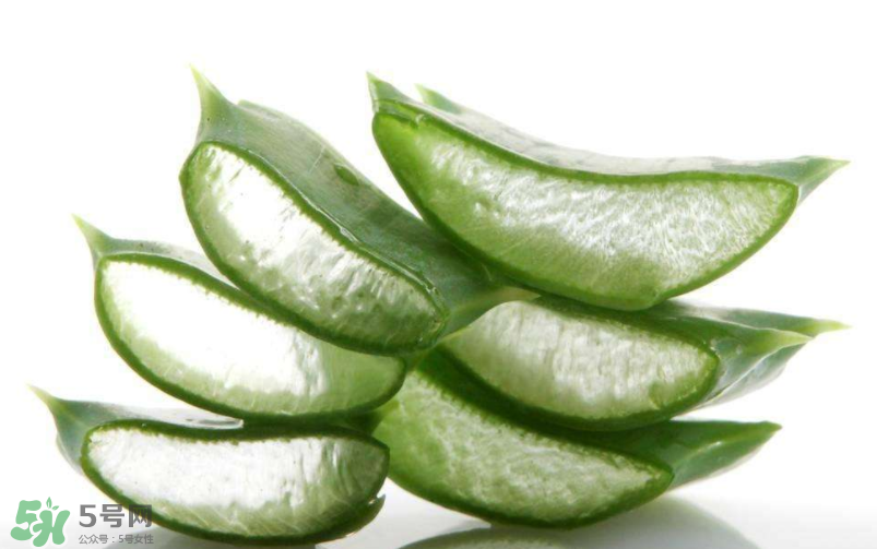 敏感肌能使用蘆薈護膚嗎？蘆薈膠有什么用？