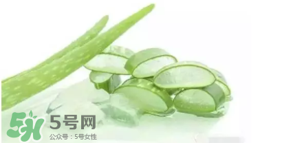 蘆薈怎么吃？蘆薈番茄湯的做法 