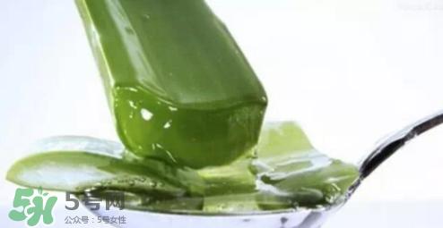 蘆薈怎么吃？蘆薈番茄湯的做法 