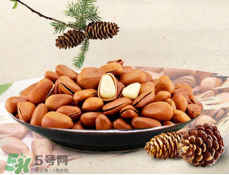松子什么時(shí)候成熟？松子什么時(shí)候吃最好