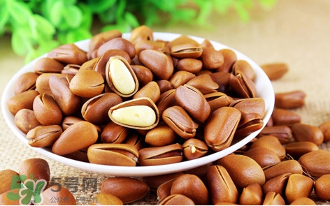 松子什么時(shí)候成熟？松子什么時(shí)候吃最好