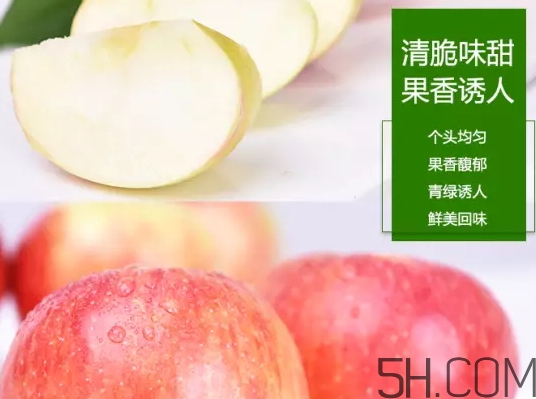 美八蘋果價格多少錢？美八蘋果多少錢一斤？
