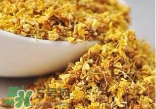桂花茶怎么泡？桂花茶泡水喝的禁忌 