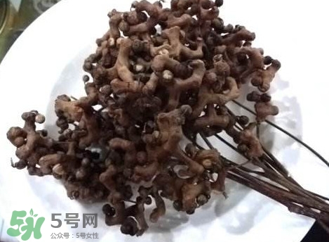 拐棗可以嫁接嗎？拐棗是哪里的特產(chǎn)