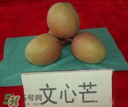 芒果有哪些品種？哪種芒果最好吃？