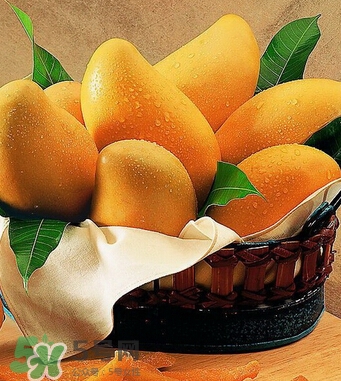 芒果怎么吃？芒果的做法大全