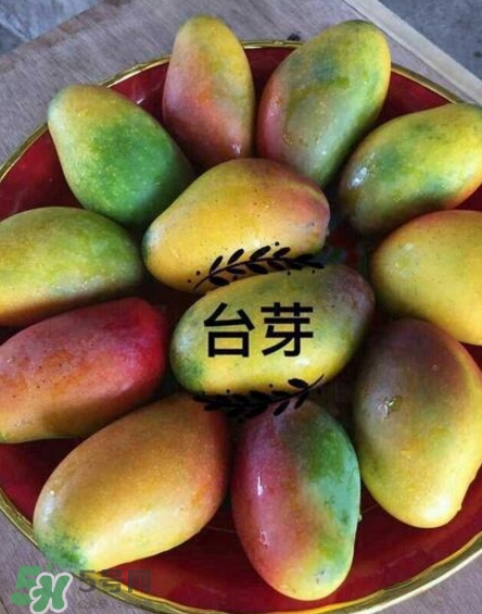 芒果有哪些品種？哪種芒果最好吃？