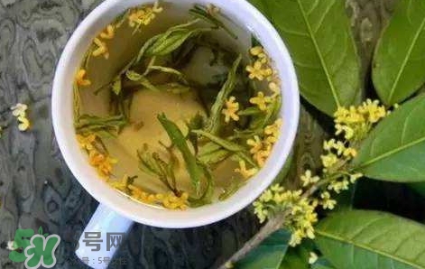 桂花茶怎么泡好喝？桂花茶怎么制作？