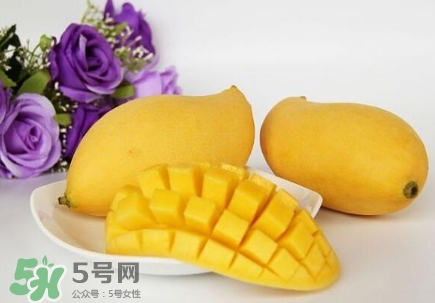 芒果有哪些品種？哪種芒果最好吃？