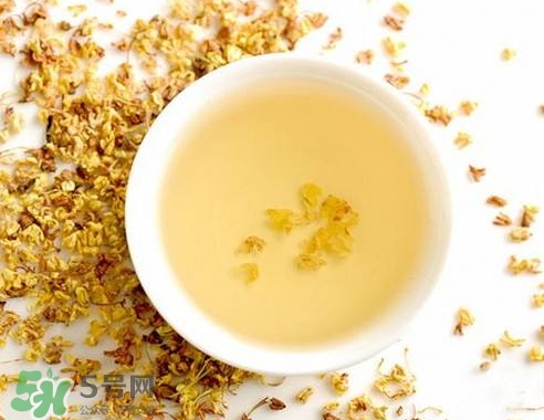 桂花茶怎么泡好喝？桂花茶怎么制作？