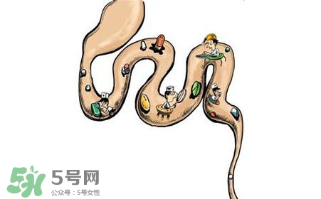 螺旋藻能治胃病嗎？有胃病日常需要注意什么？