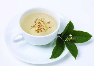 桂花茶怎么泡？桂花茶泡水喝的禁忌