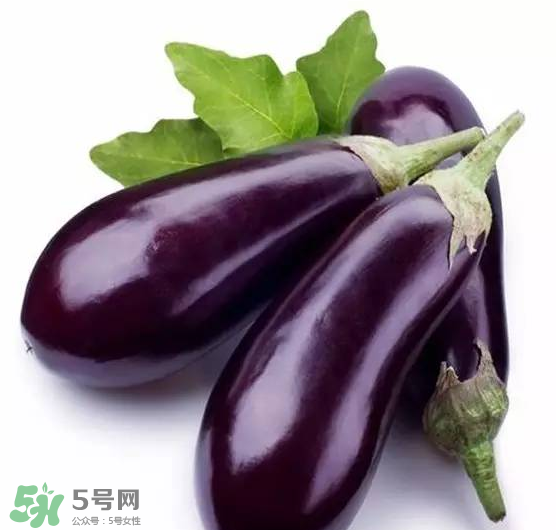 茄子把能預(yù)防口腔潰瘍嗎？茄子把的功效與作用