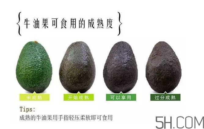 牛油果和香蕉一起能多吃嗎？牛油果挑什么樣的好？