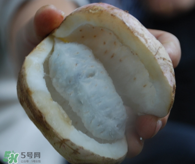 八月瓜可以經(jīng)常吃嗎？八月瓜可以多吃嗎？