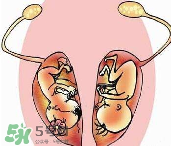 雙子宮對(duì)懷孕有影響嗎？雙子宮懷孕要注意什么？
