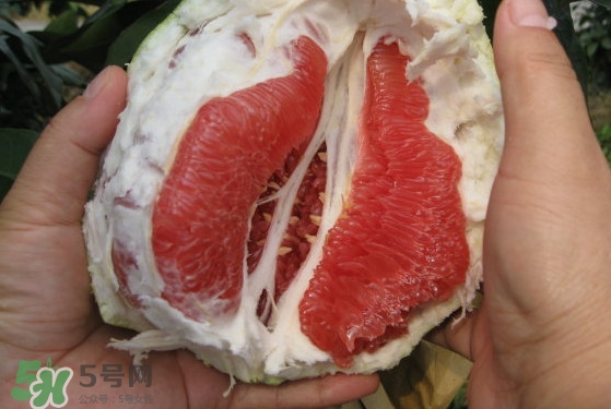 紅肉蜜柚可以儲(chǔ)存多久？紅肉蜜柚怎么挑選