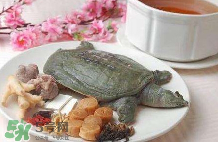 腳魚是什么？腳魚和烏龜?shù)膮^(qū)別
