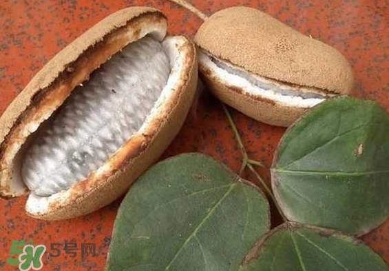 八月瓜能放冰箱嗎？八月瓜怎么保存？