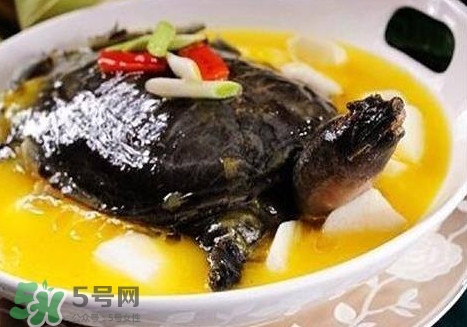 甲魚(yú)是魚(yú)嗎？甲魚(yú)是發(fā)物嗎