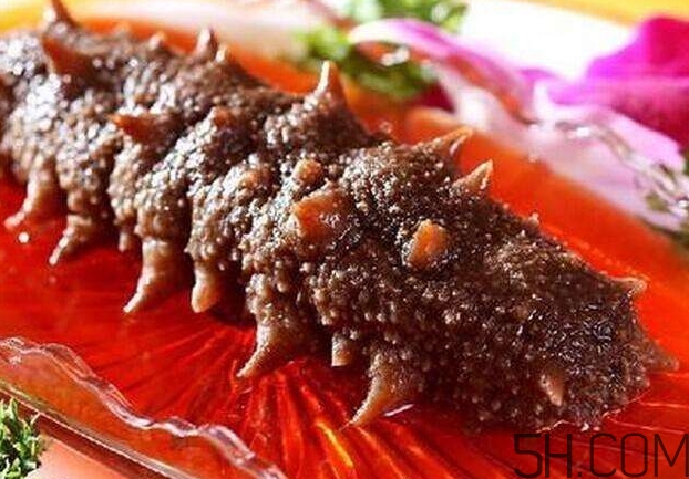 海參能和西紅柿一起吃嗎？海參和什么一起吃最好？