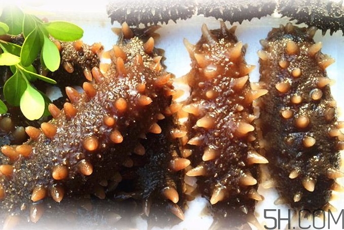 海參能和西紅柿一起吃嗎？海參和什么一起吃最好？